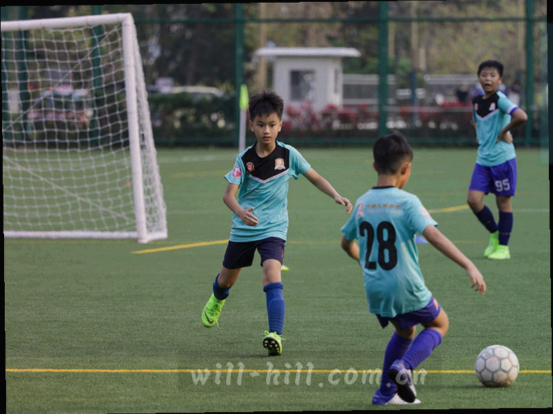 五步操作卡片：进入应用中心、点击国内轮次安排、选择轮次、打开比赛详情、确认首发阵容